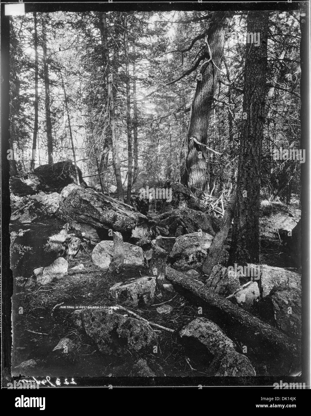 Gallatin canyon hires stock photography and images Alamy