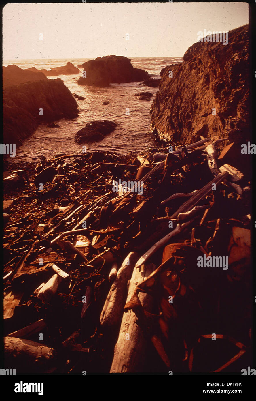 This image features a combination of rusted metal and driftwood, showing the contrast between industrial decay and natural elements along a waterway or shoreline. Stock Photo