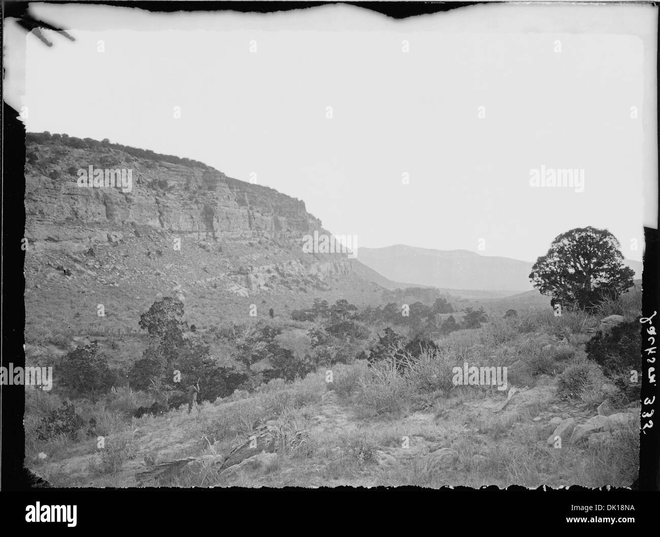 Scene near the head of Red Creek. Daggett County, Utah 516943 Stock