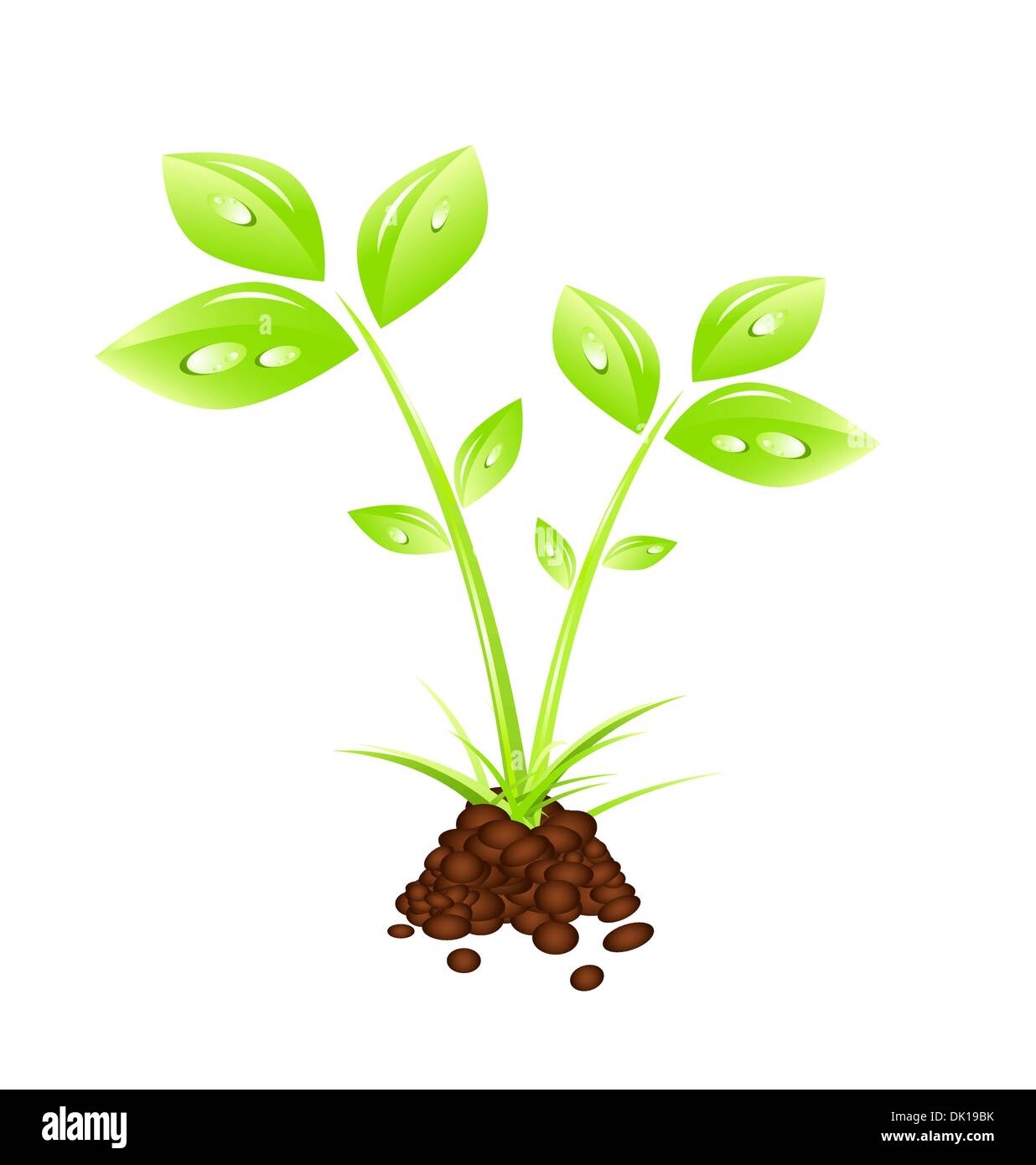 Abstract green nature eco concept Stock Vector Image & Art - Alamy