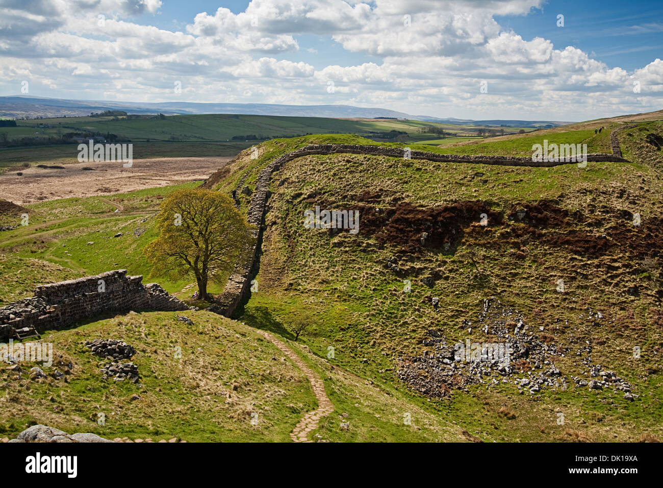 Sycamore Gap part of Hadrian's Wall in Northumberland near the Scottish Borders Stock Photo
