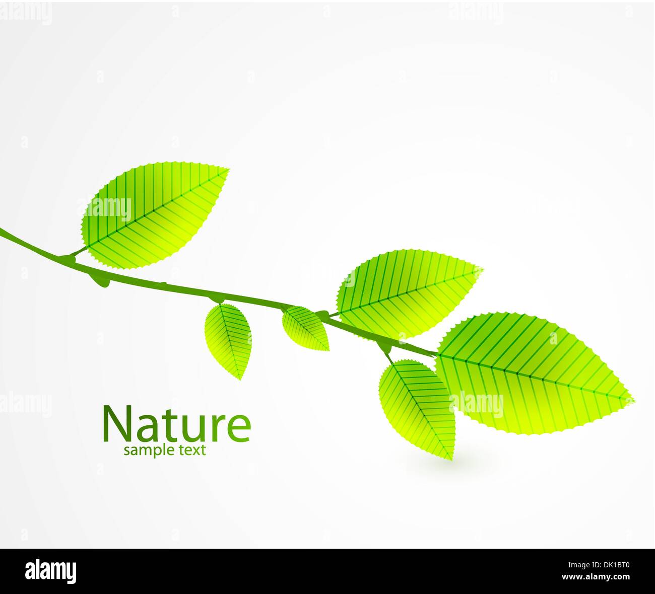 Nature background with green leaves Stock Vector Image & Art - Alamy