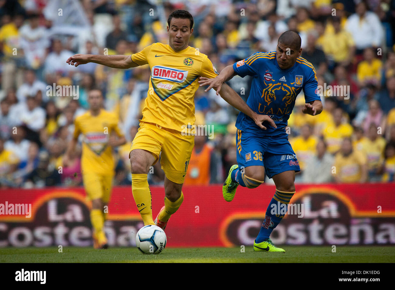 Mexico City, Mexico. 1st December 2013. America's Luis Gabriel Rey (L) vies for the ball with Carlos Salcido (R) of Tigres during a match of the Liga MX, held in the Azteca Stadium in Mexico City, capital of Mexico, on Dec. 1, 2013. (Xinhua/Pedro Mera/Alamy Live News) Stock Photo