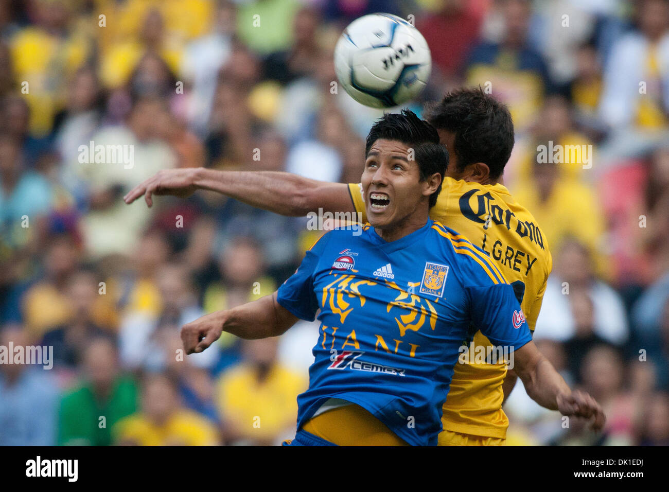 Mexico City, Mexico. 1st December 2013. America's Luis Gabriel Rey (BACK) vies for the ball with Hugo Ayala (FRONT) of Tigres during a match of the Liga MX, held in the Azteca Stadium in Mexico City, capital of Mexico, on Dec. 1, 2013. (Xinhua/Pedro Mera/Alamy Live News) Stock Photo