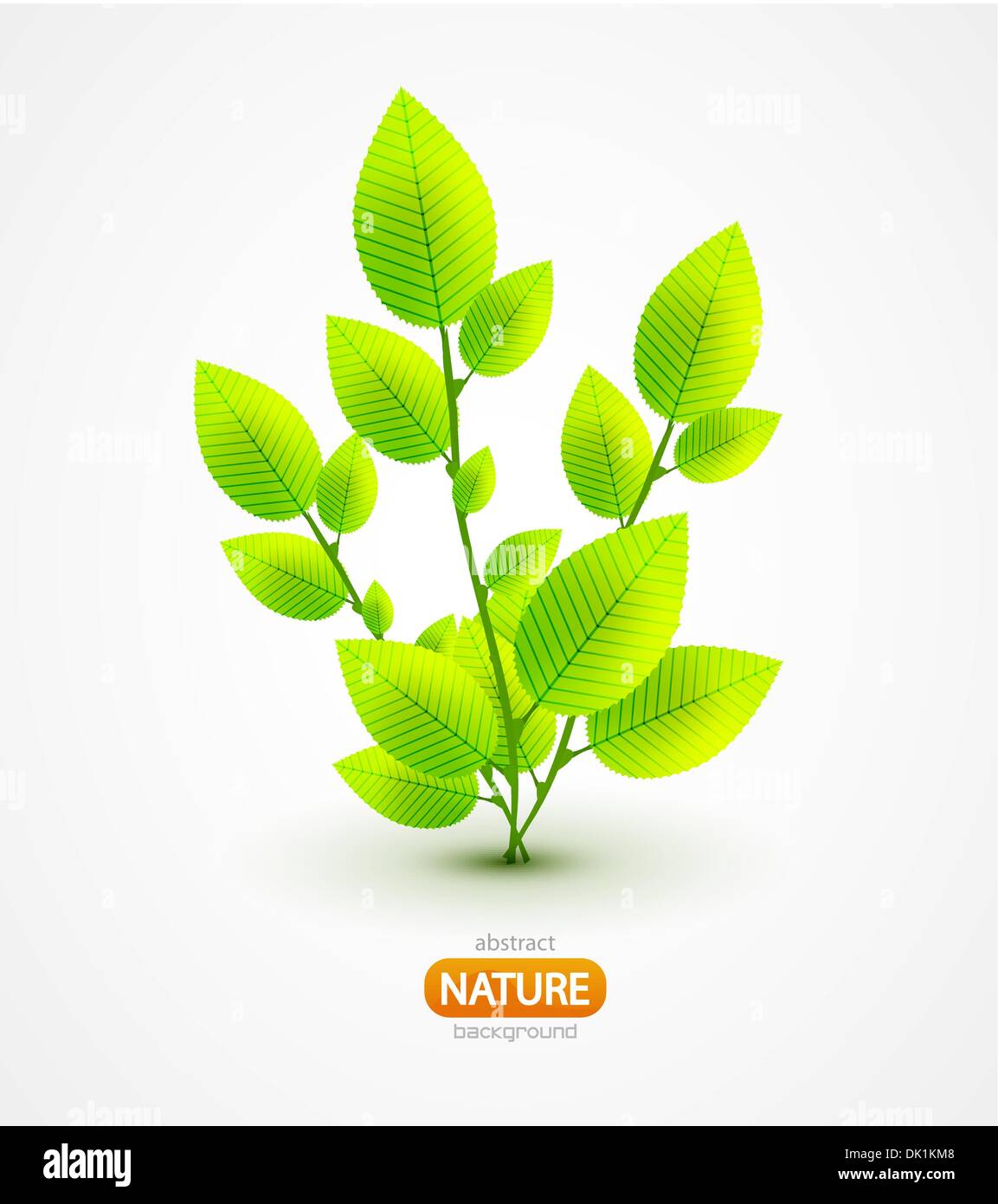 Nature background with green leaves Stock Vector Image & Art - Alamy