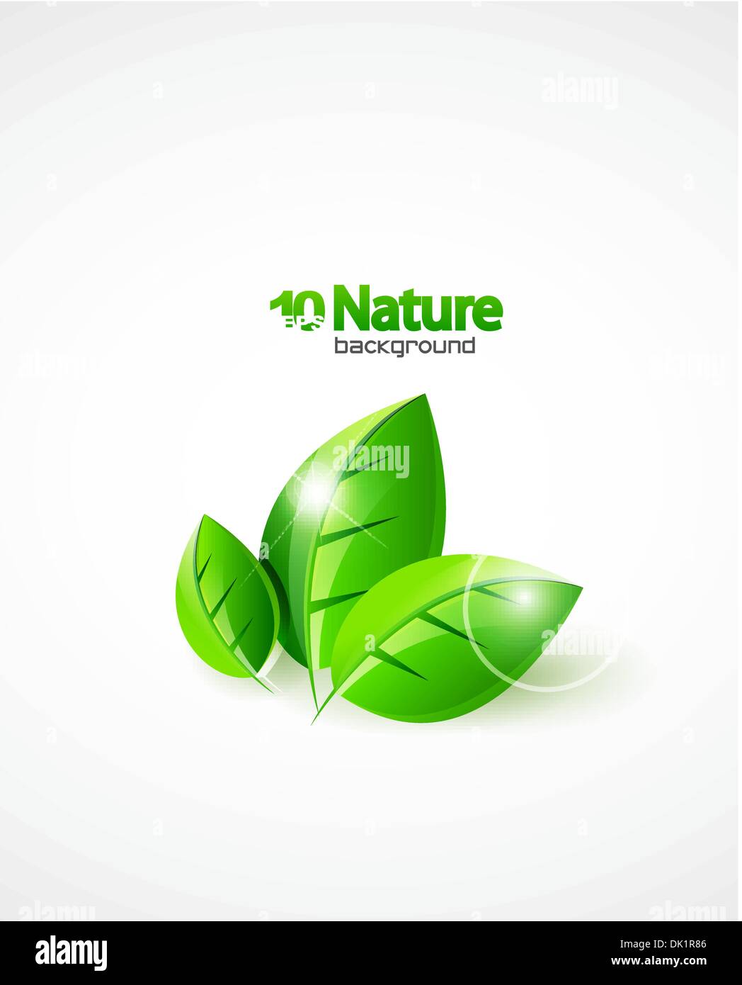 Abstract background with green leaf composition concept Stock Vector ...