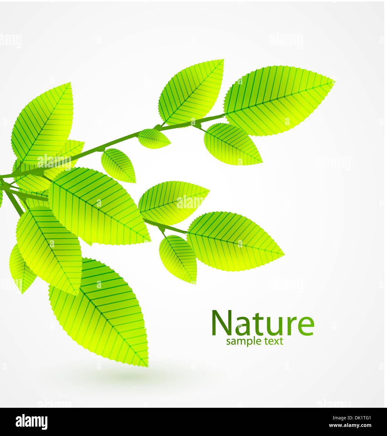 Nature background with green leaves Stock Vector Image & Art - Alamy