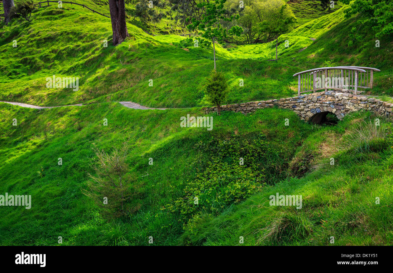 Landscape in Hobbiton in the Shire, location of the Lord of the Rings and The Hobbit film trilogy, near Matamata, New Zealand Stock Photo