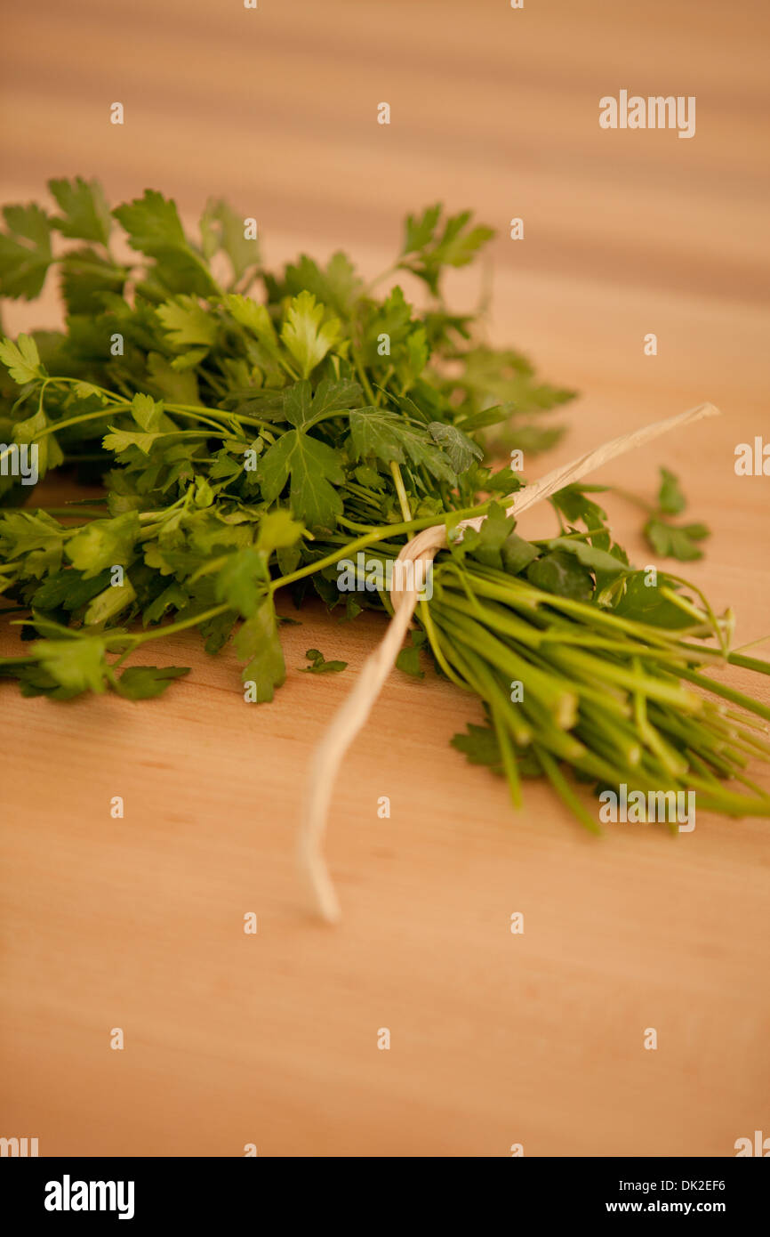 Cilantro bunch hires stock photography and images Alamy