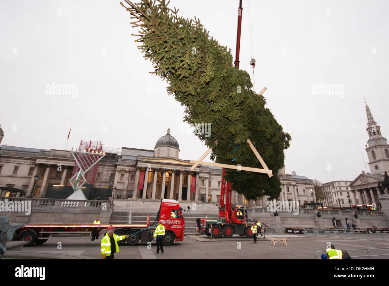 London, UK. 2nd December 2013. A 21m Norway Spruce Christmas tree Stock Photo 63367377 Alamy