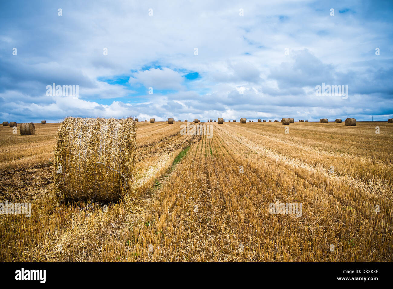 Land of sheaves in the french countryside Stock Photo Alamy