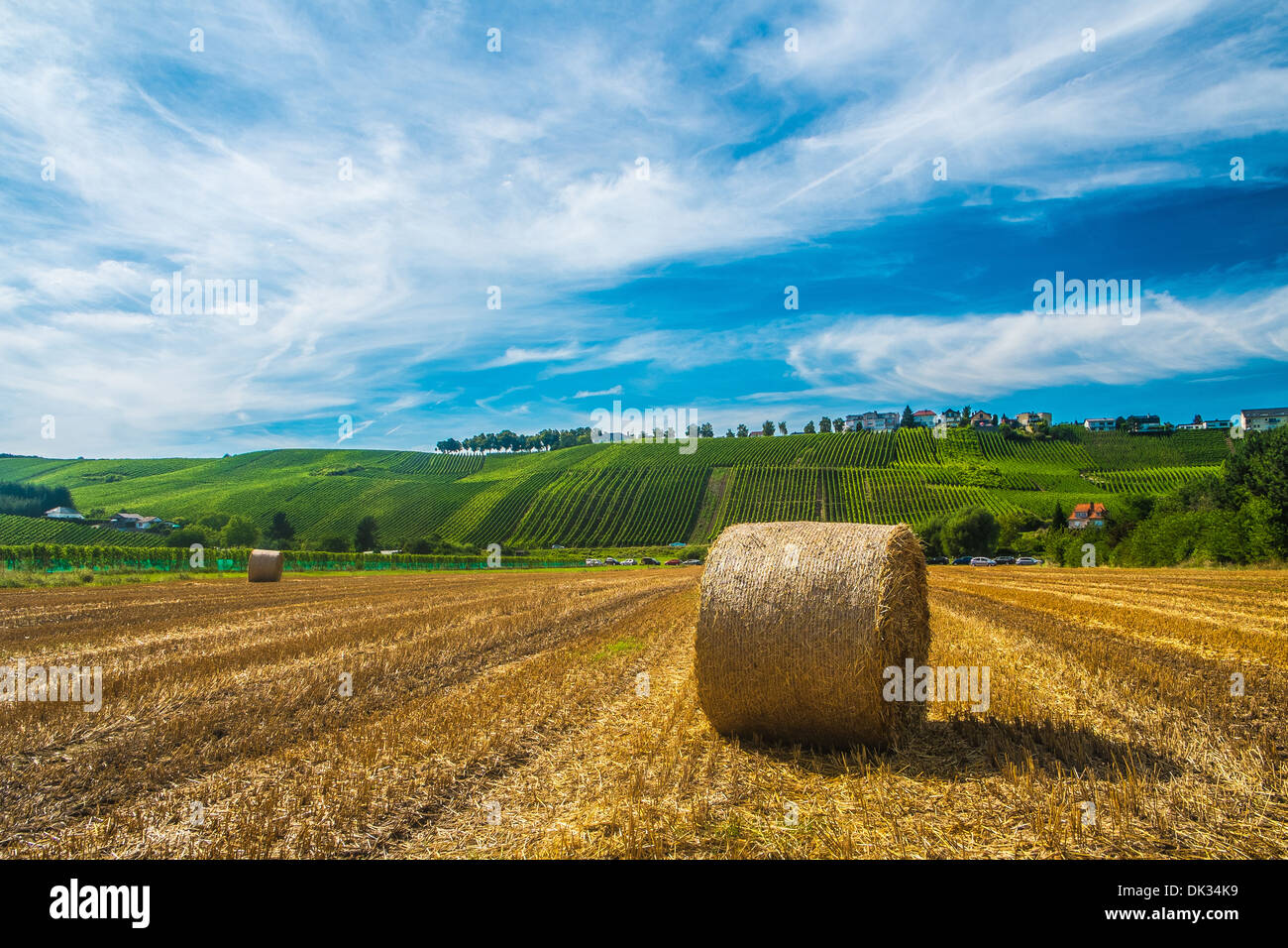 Hill s covered by vineyards along the Moselle river in Remich, Luxembourg Stock Photo