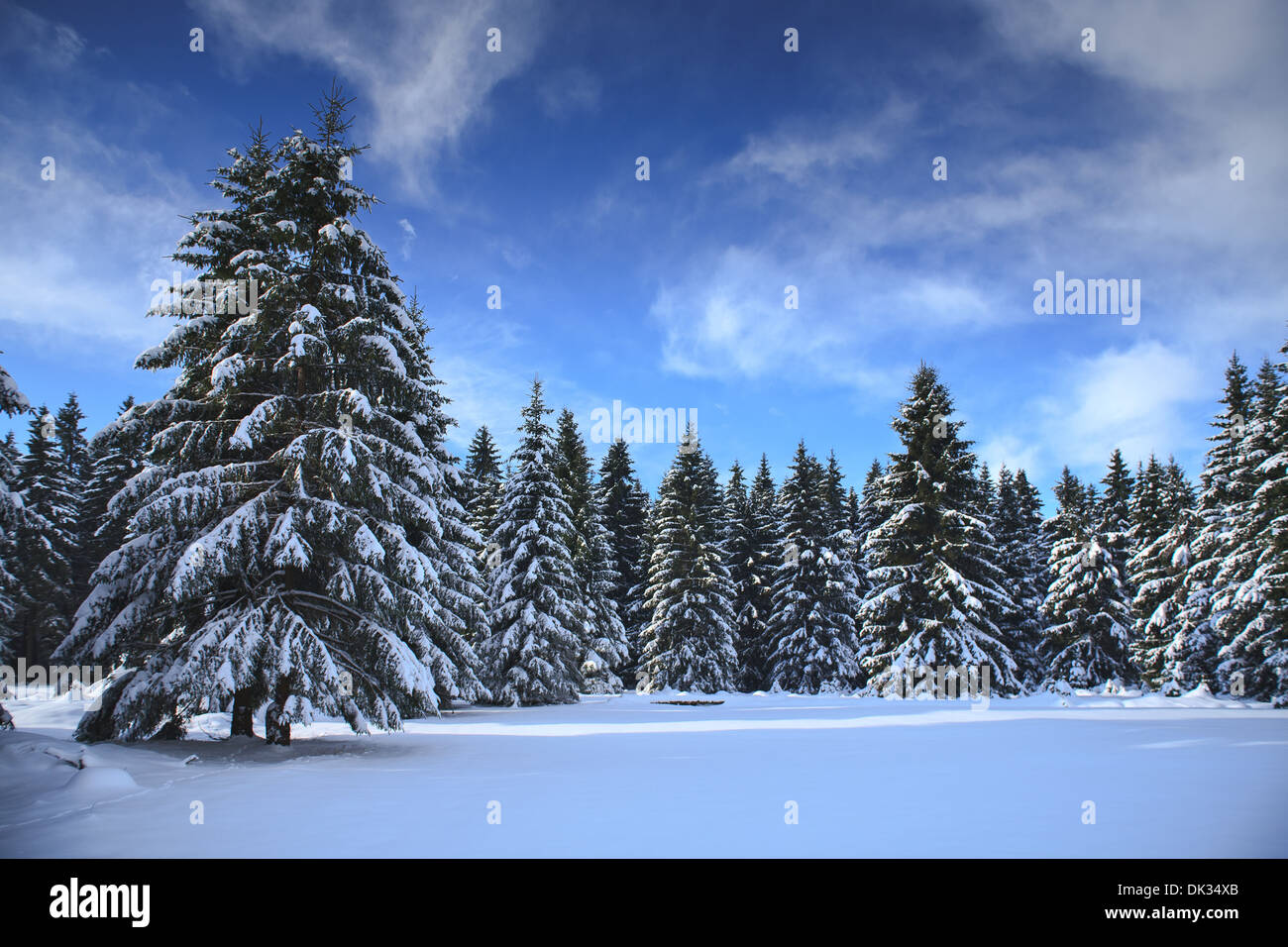Nature under the snow hi-res stock photography and images - Alamy