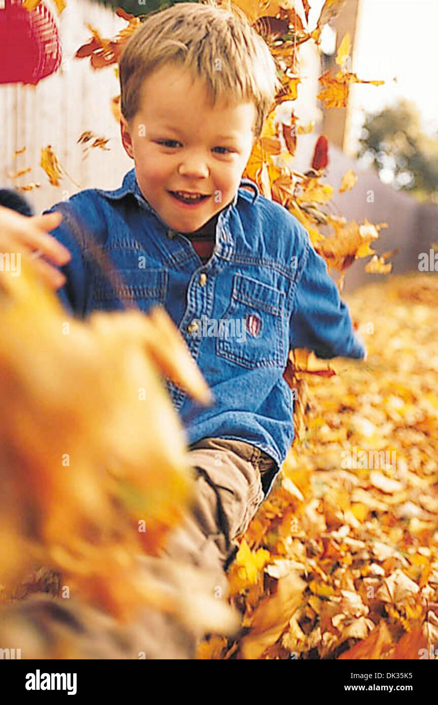 Boy playing in autumn leaves Stock Photo - Alamy