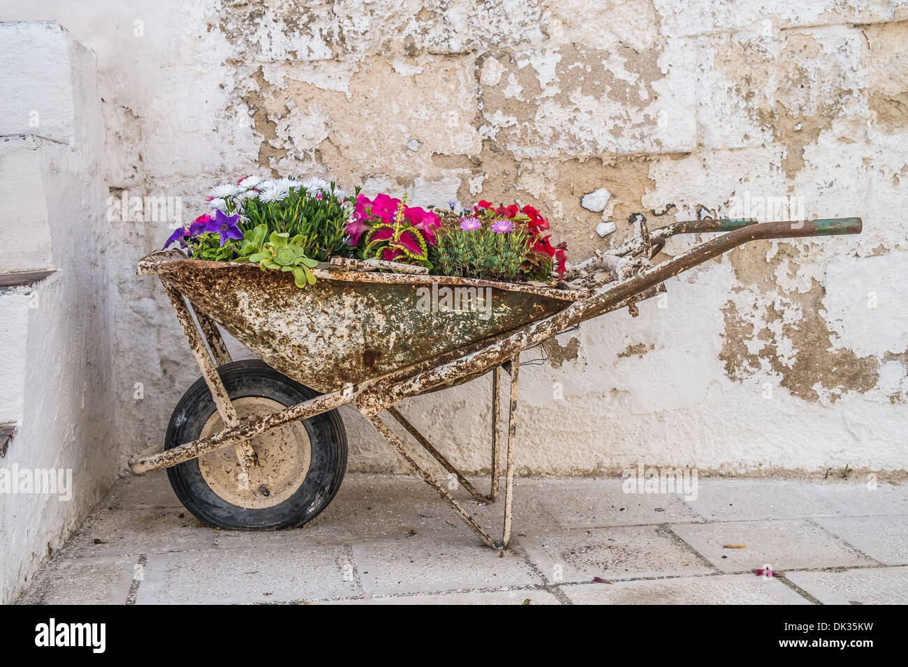 Wheelbarrow flowers hires stock photography and images Alamy
