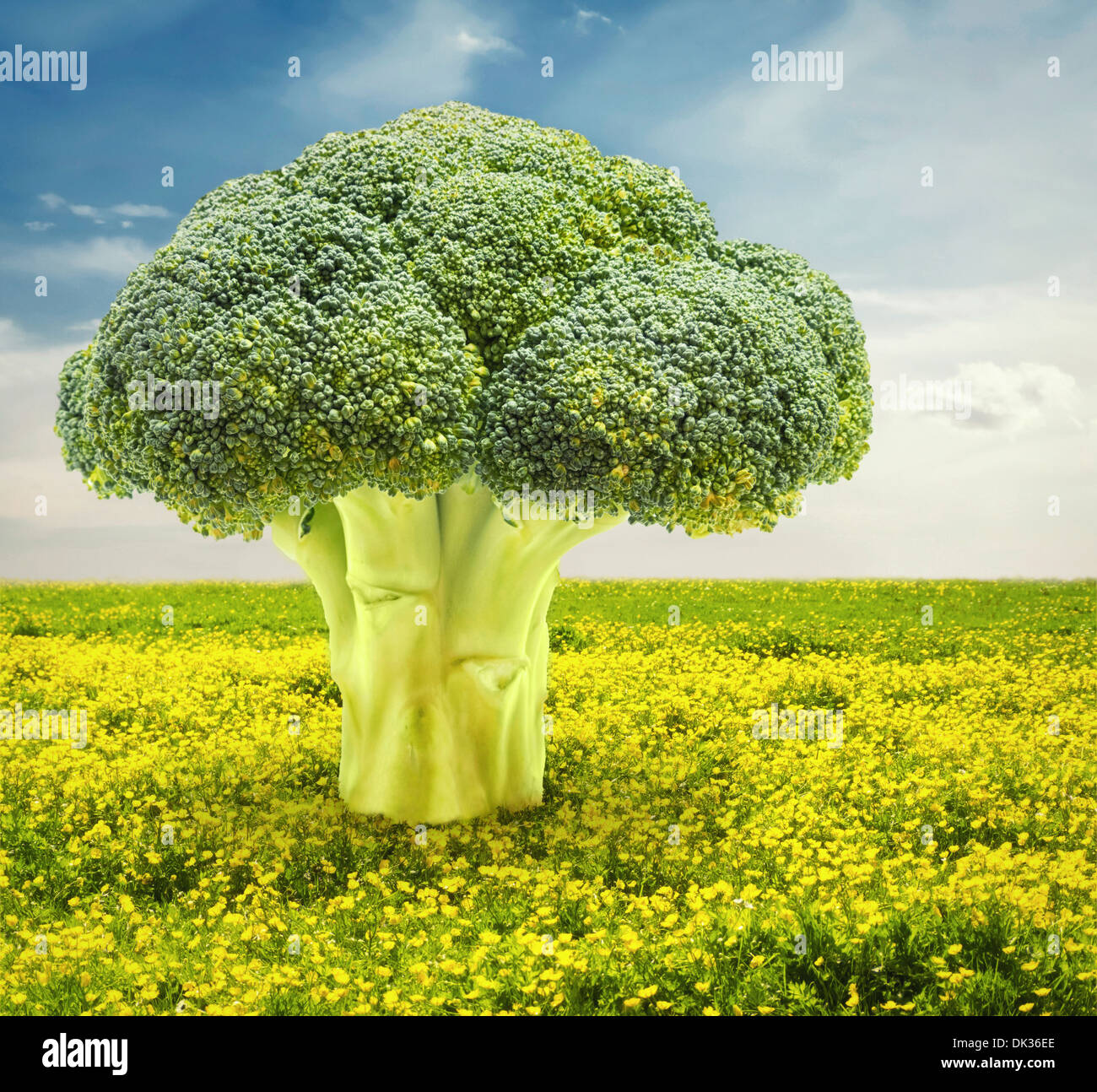 Composite of broccoli tree in flower field Stock Photo