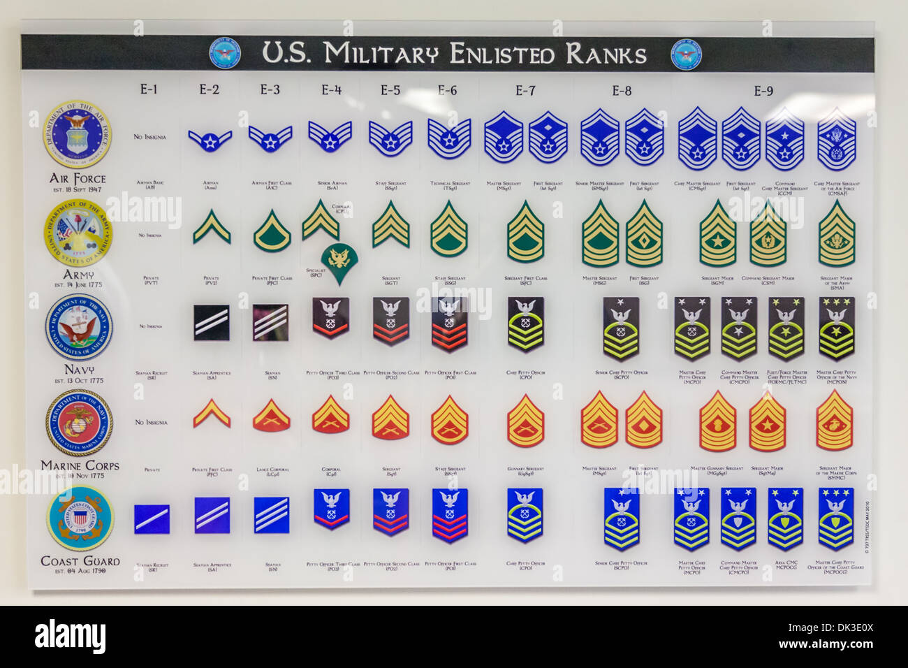 Chart showing US Military enlisted personnel rank information Stock Photo