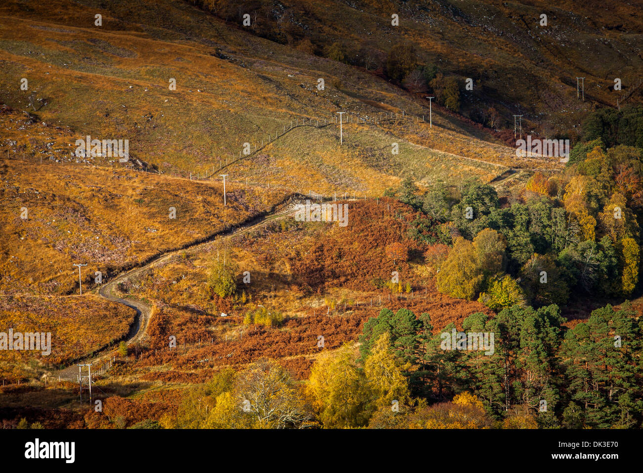 Strath more hi-res stock photography and images - Alamy