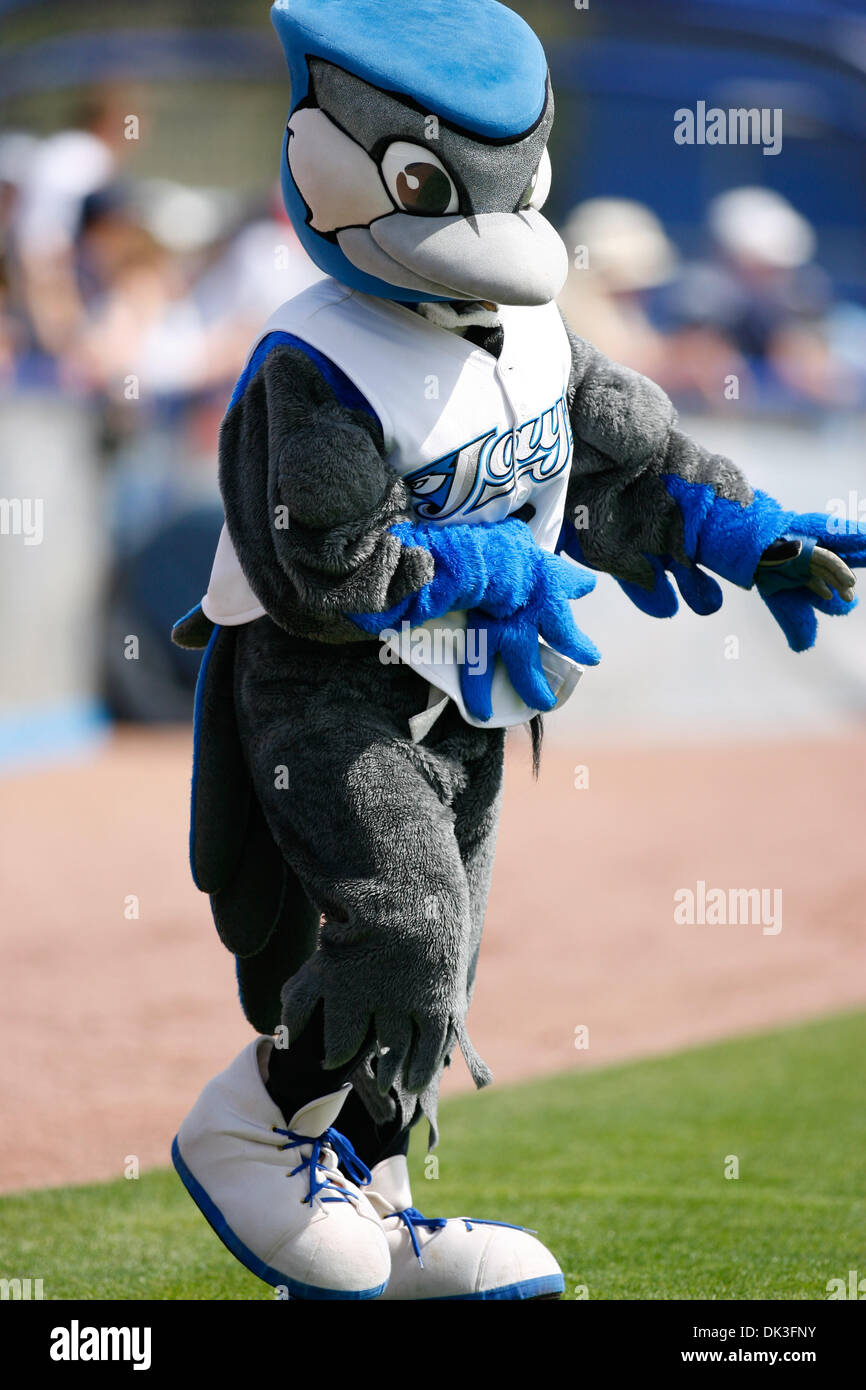 toronto blue jays mascot