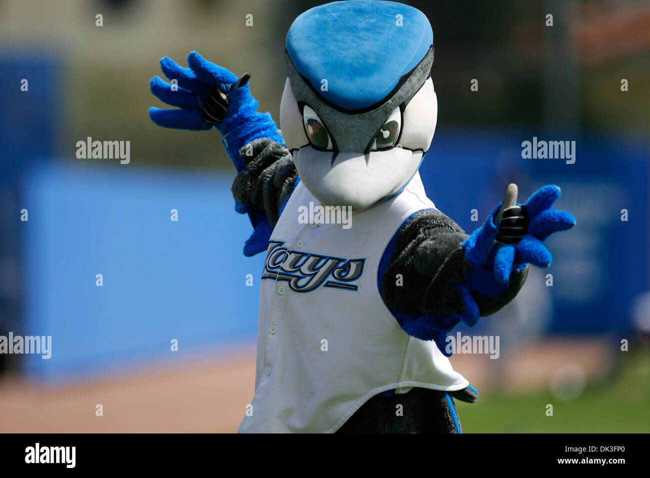 194 Toronto Blue Jays Mascots Ace Stock Photos, High-Res Pictures, and  Images - Getty Images