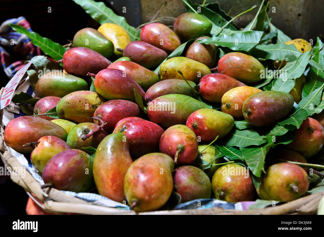 Ripe mangoes hires stock photography and images Alamy