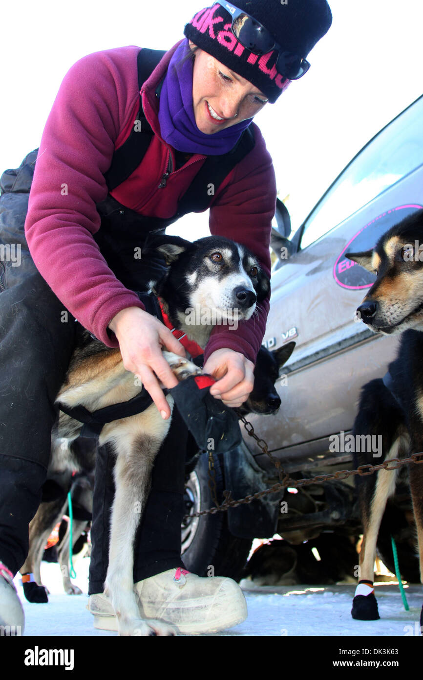 do iditarod dogs wear booties