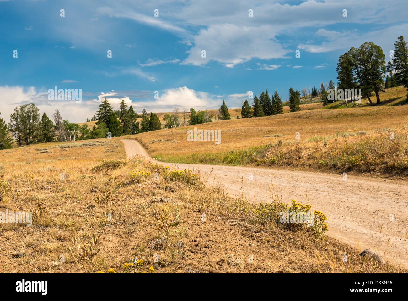 Blacktail plateau drive hires stock photography and images Alamy