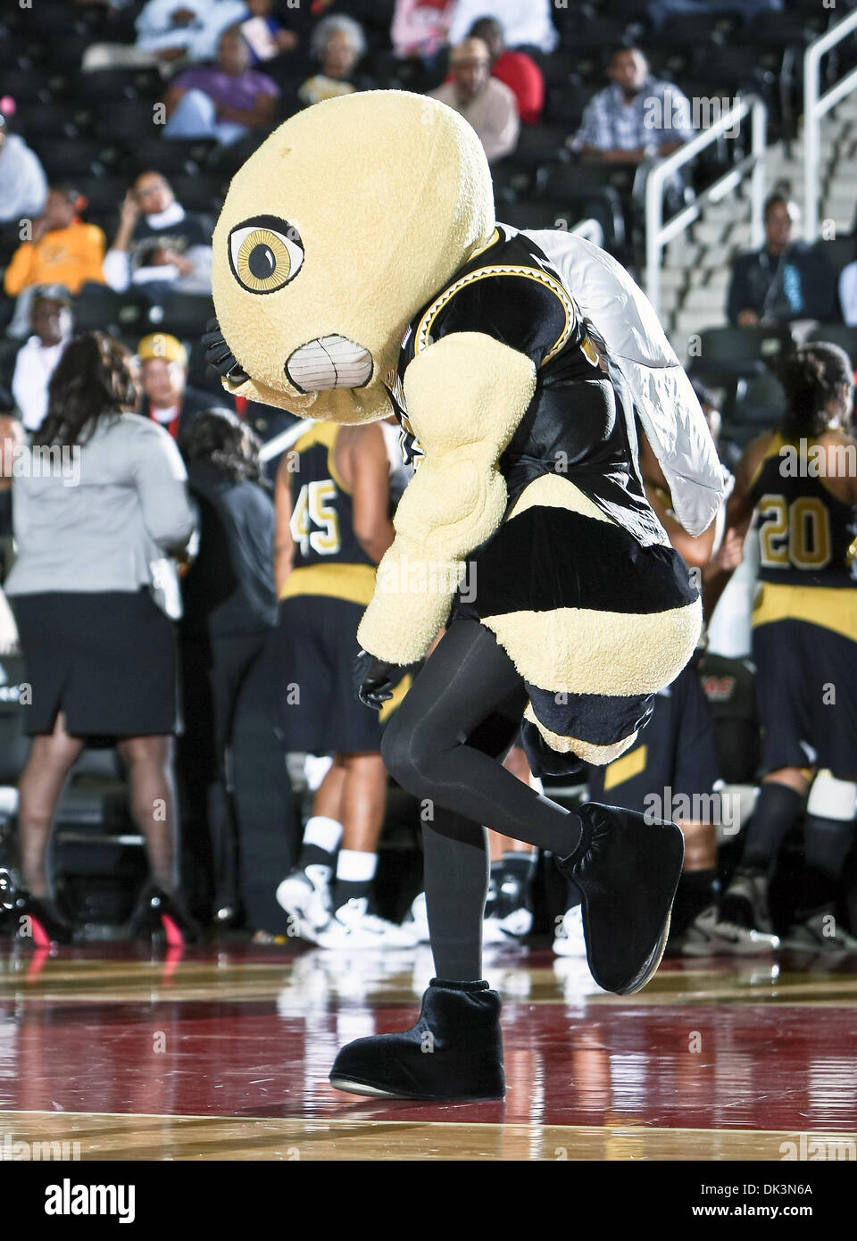 Mar. 9, 2011 - Garland, Texas, United States of America - The Alabama State Hornets mascot in action during the SWAC Tournament game between the Southern Lady Jaguars and the Alabama State Hornets at the Special Events Center in Garland, Texas. Southern defeats Alabama State 58 to 39. (Credit Image: © Dan Wozniak/Southcreek Global/ZUMAPRESS.com) Stock Photo