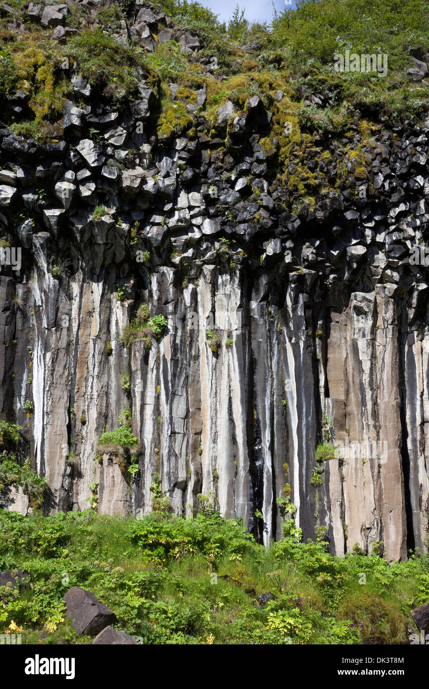 Columnar Basalt Rock in the Gorge Walls Downstream of Svatifoss in the Vatnajökull National Park Skaftafell Iceland Stock Photo