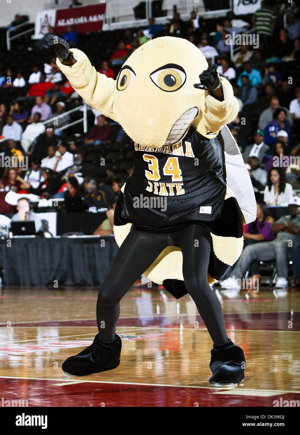 Mar. 12, 2011 - Garland, Texas, United States of America - The Alabama State Hornets mascot in action during the SWAC Championship game between the Alabama State Hornets and the Grambling State Tigers at the Special Events Center in Garland, Texas. Alabama State defeats Grambling State 65 to 48. (Credit Image: © Dan Wozniak/Southcreek Global/ZUMAPRESS.com) Stock Photo