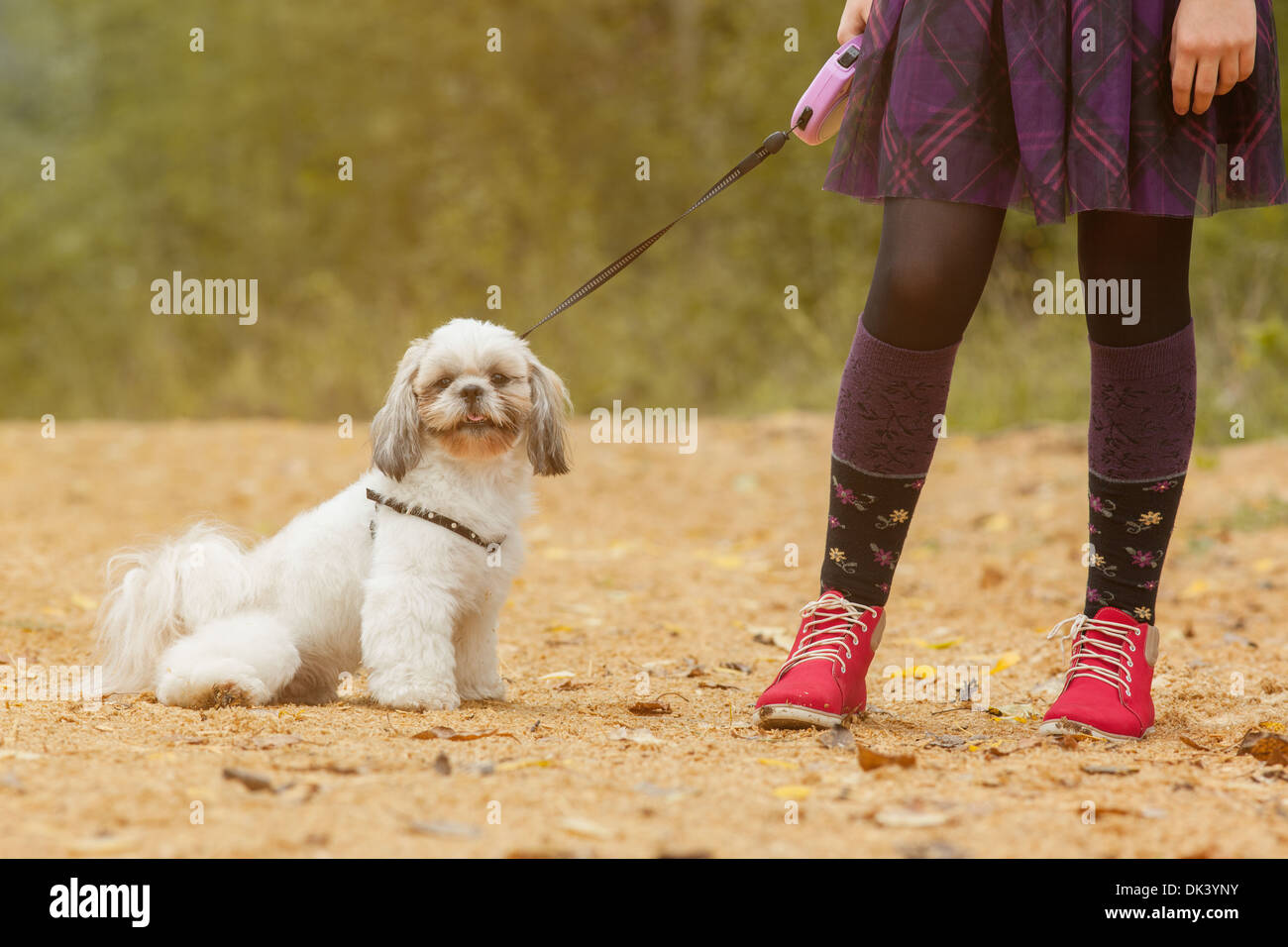 Cute puppy sitting near of feet his little owner Stock Photo - Alamy