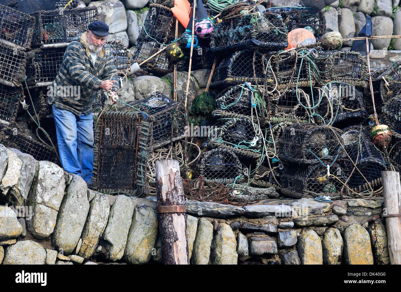 A fisherman checks his lobster pots after the storm on the quay wall in Clovelly, North Devon. Stock Photo