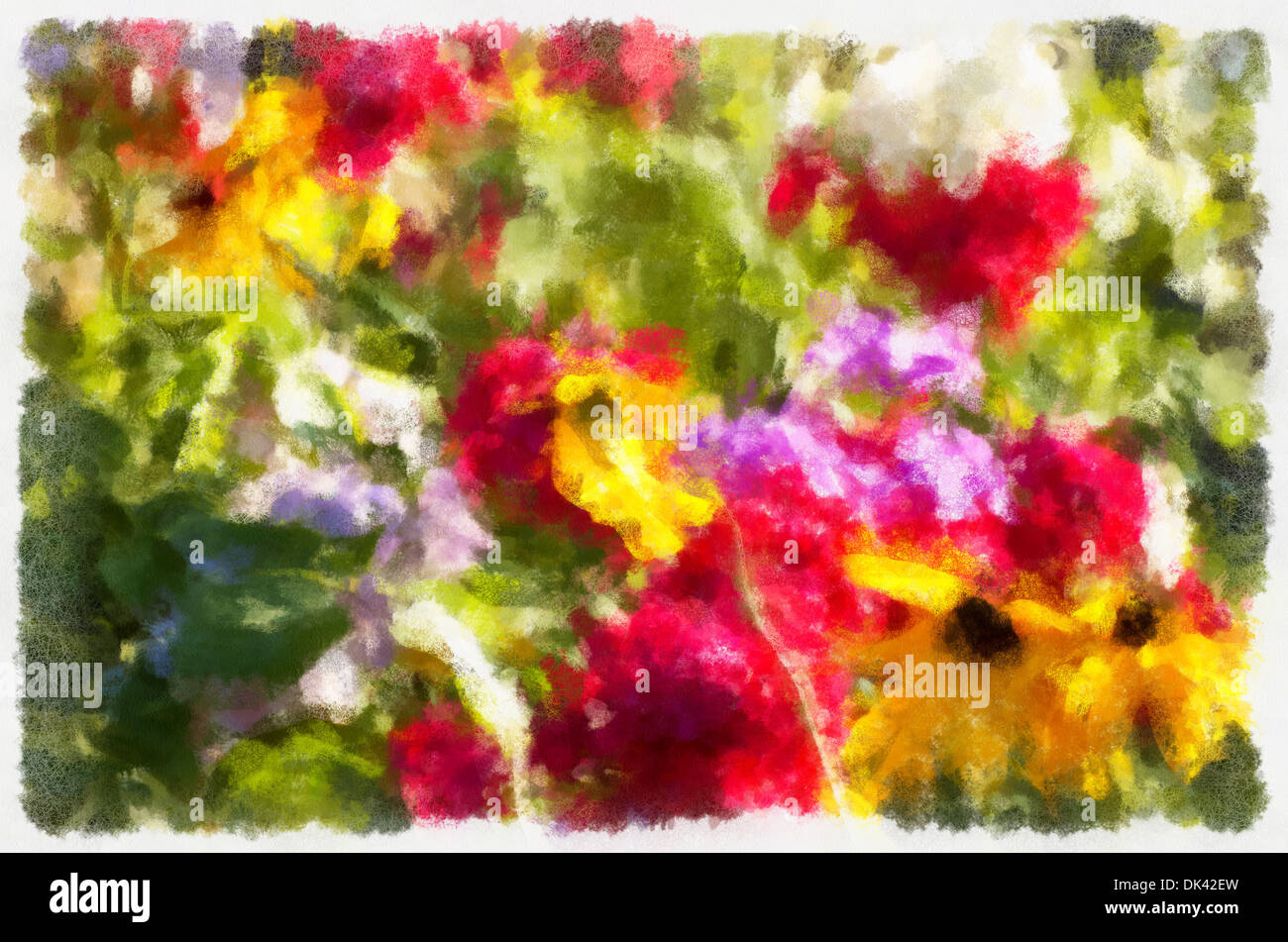 Ehinatseya (Latin Echinacea) - genus of perennial plants of the Asteraceae or Compositae (Asteraceae), phlox Stock Photo