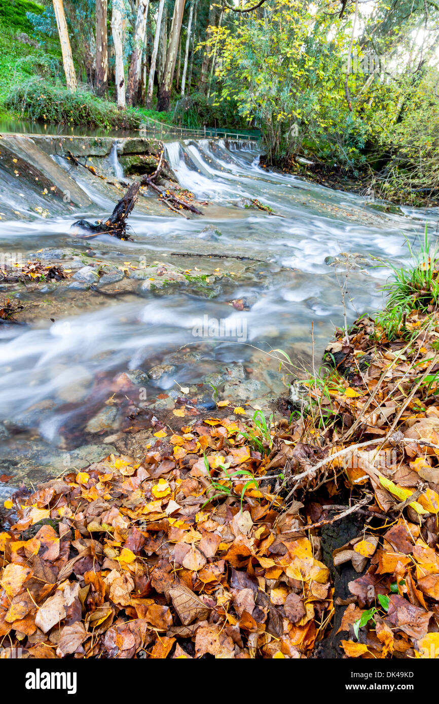 Rio majaceite, el bosque, cádiz, espanha