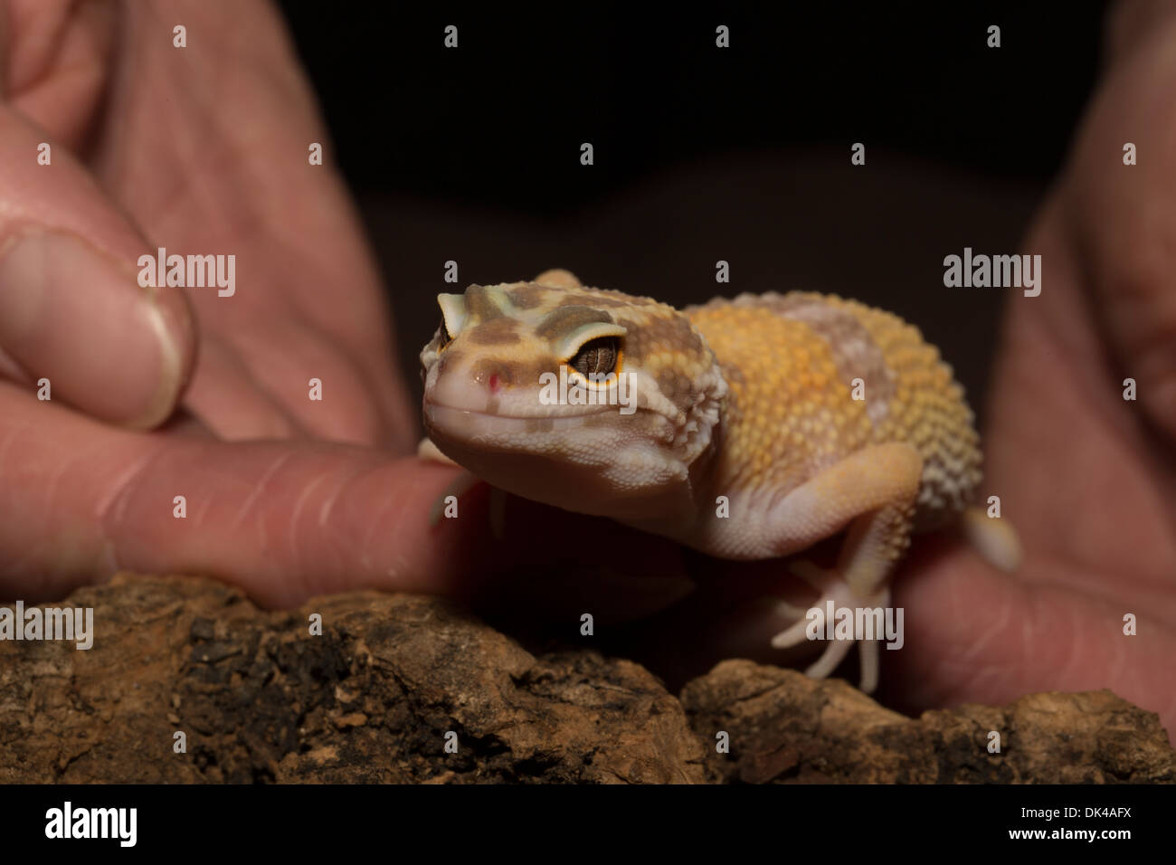 Moist climates hi-res stock photography and images - Alamy