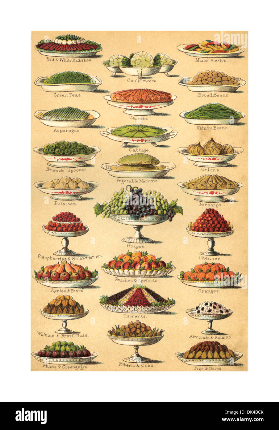 1890's Colour lithograph from Mrs Beetons Cookery Book illustrating variety of exotic Victorian fruits and vegetables Stock Photo