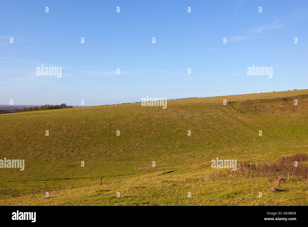Blue sky over the grassy valley of Cleaving Coomb on the Yorkshire wolds in late Autumn Stock Photo