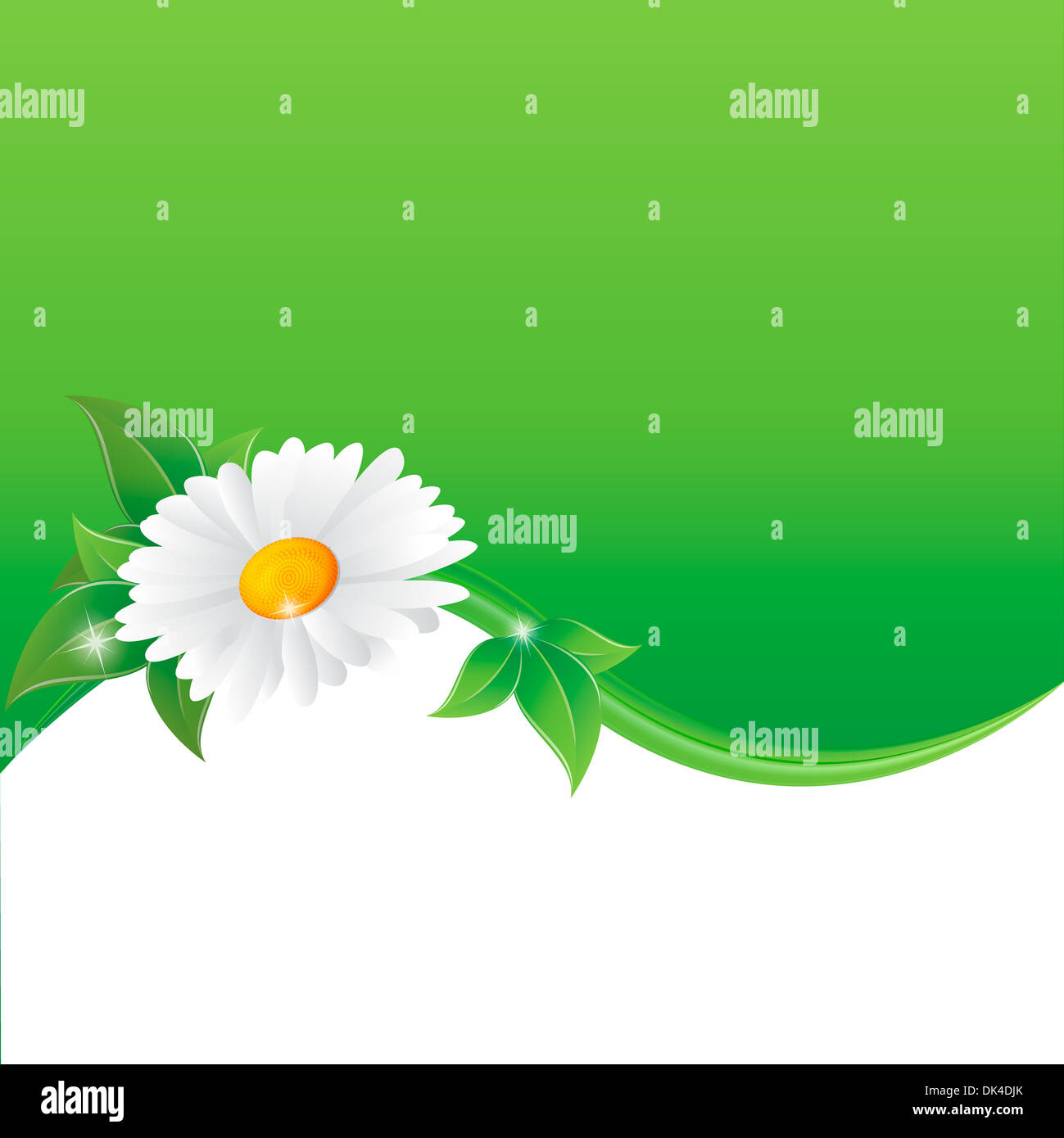 Vector illustration of chamomile flower Stock Photo - Alamy