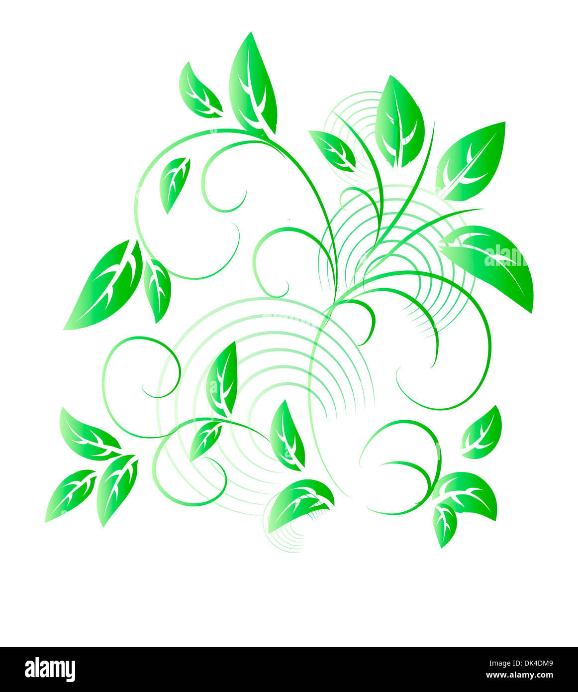 Vector illustration of Green leaf Stock Photo - Alamy