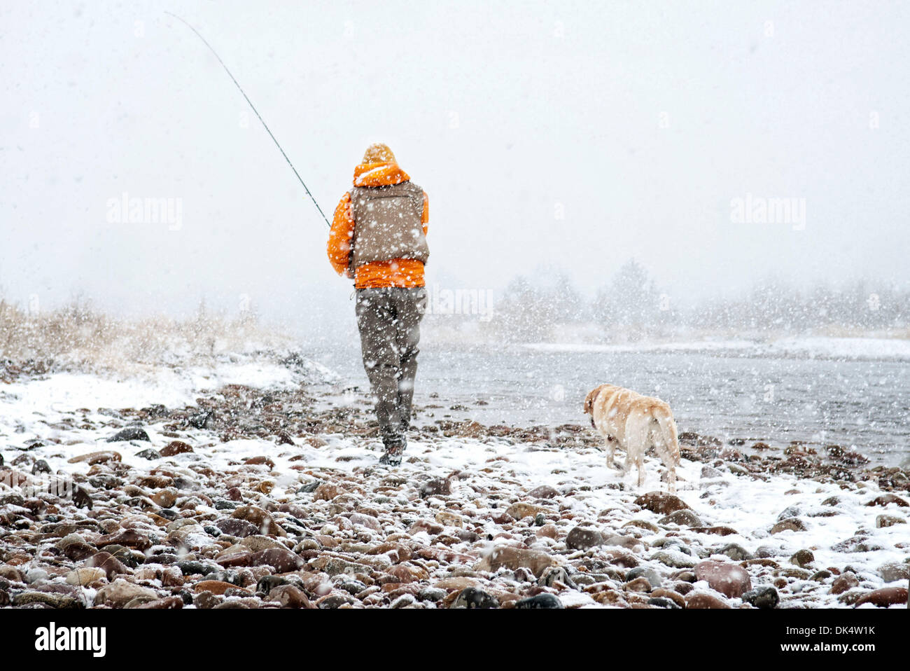 April 3, 2011 - Missoula, Montana, USA - Pete Barrett braves the snow near Philipsburg Montata to flyfish for trout. (Credit Image: © Jed Conklin/ZUMAPRESS.com) Stock Photo