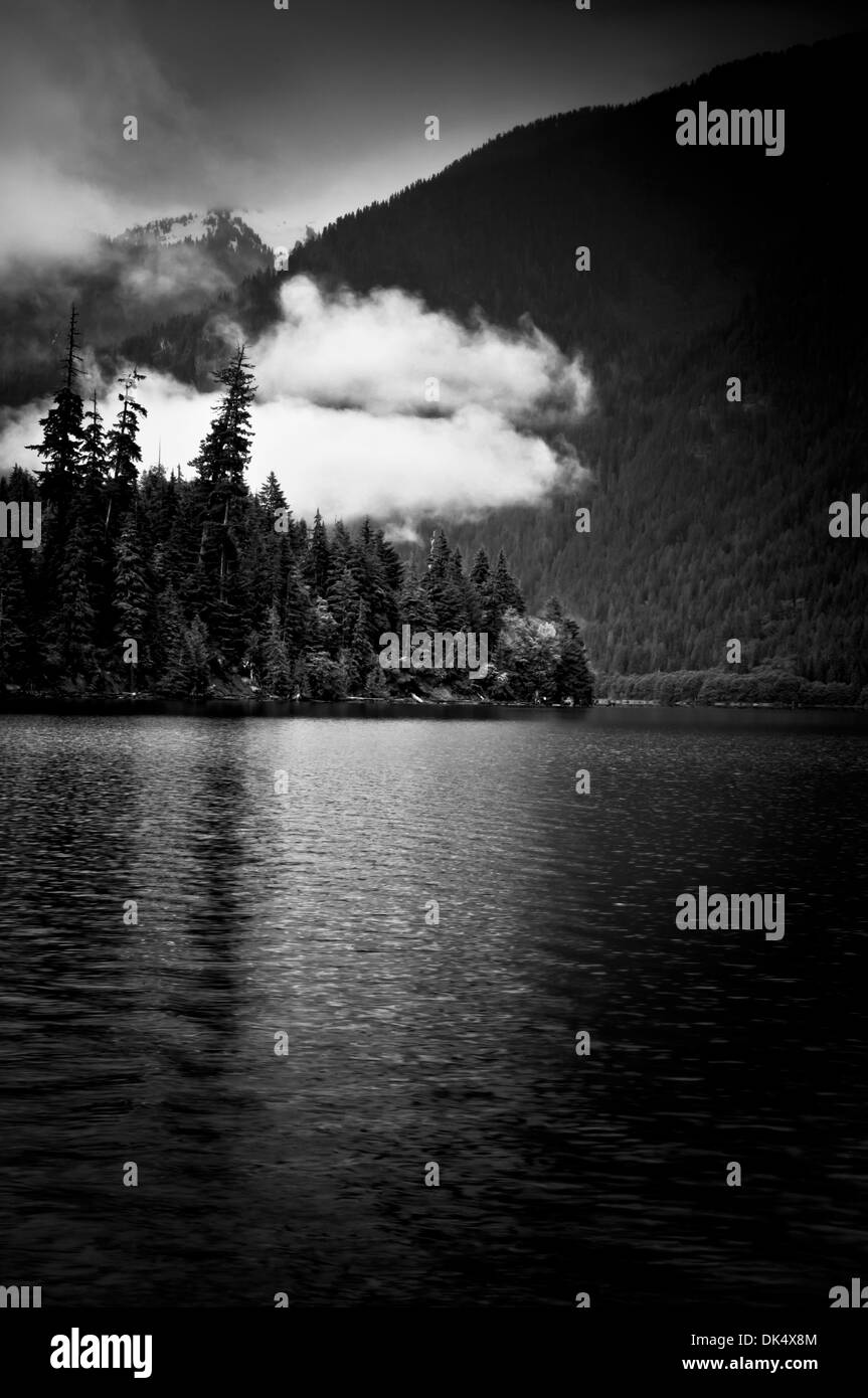 Forested shoreline of Baker Lake, Mount BakerSnoqualmie National