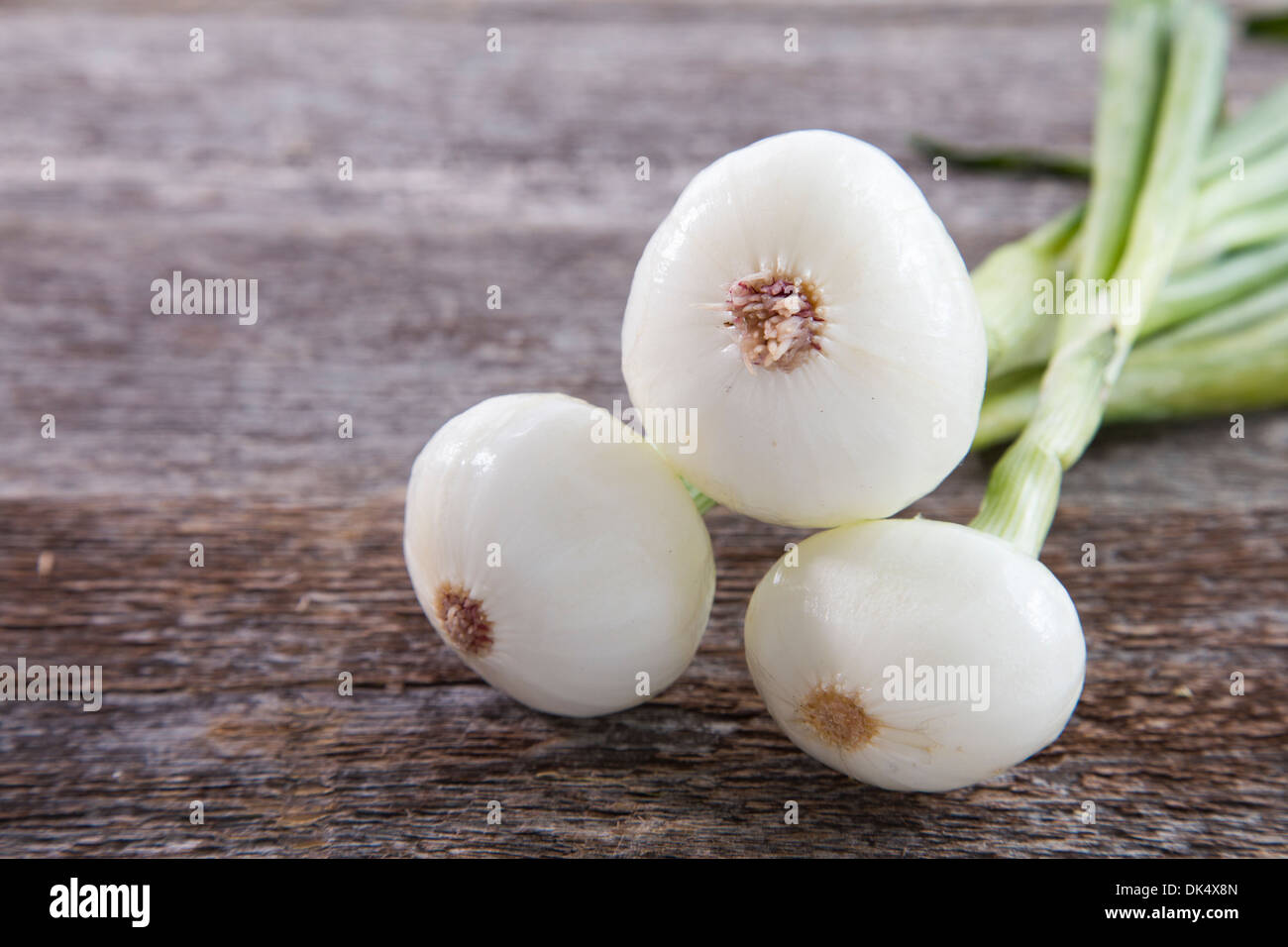 Three fresh onions hi-res stock photography and images - Alamy