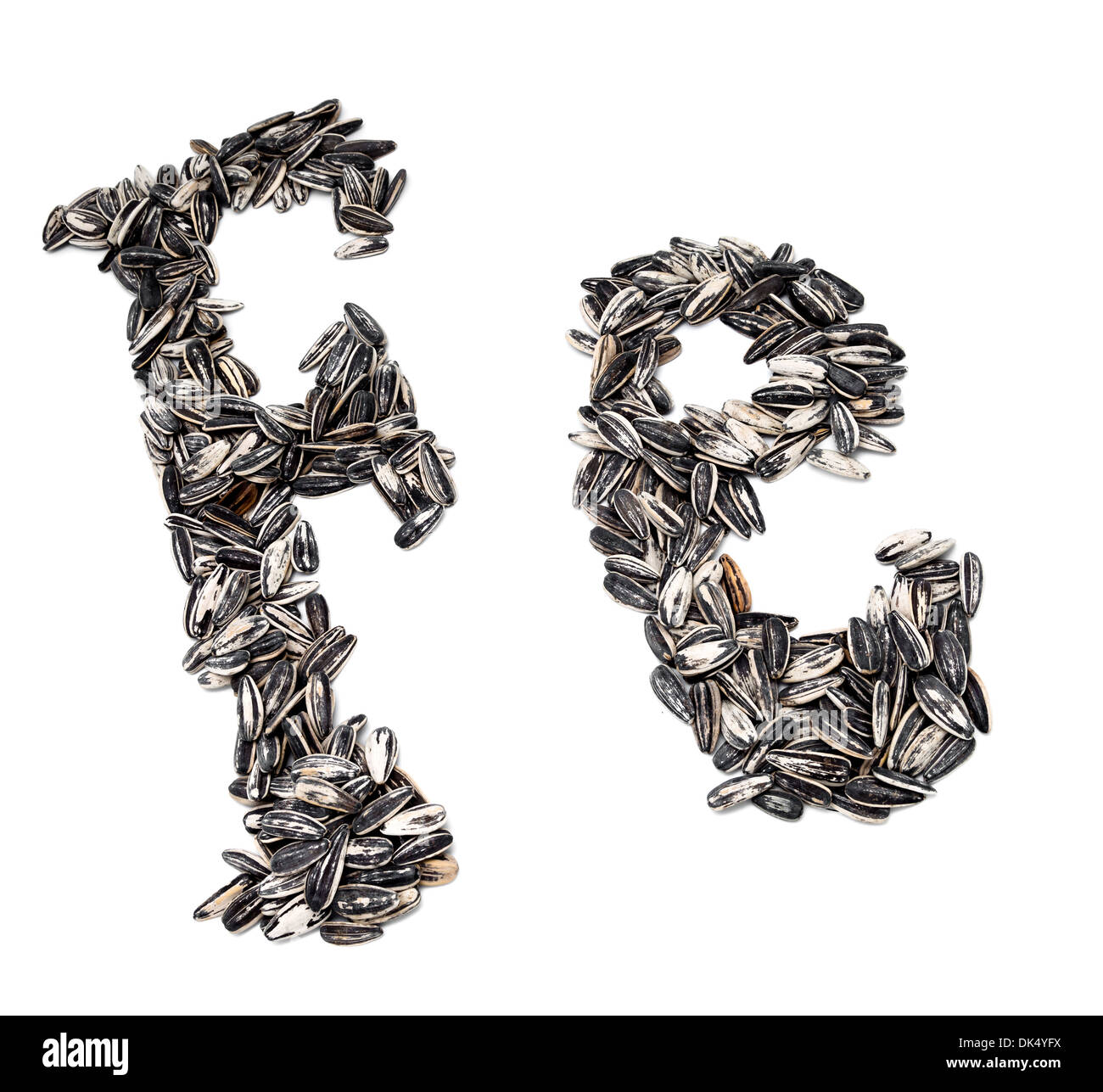 Fe is the name of the Iron in the periodic table made by sunflower seeds, that come from a