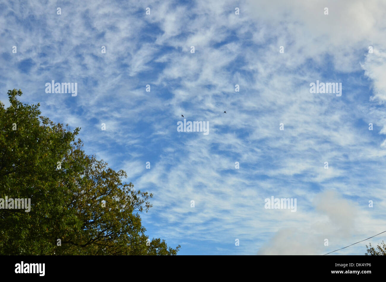 blue sky white clouds skyscape Stock Photo