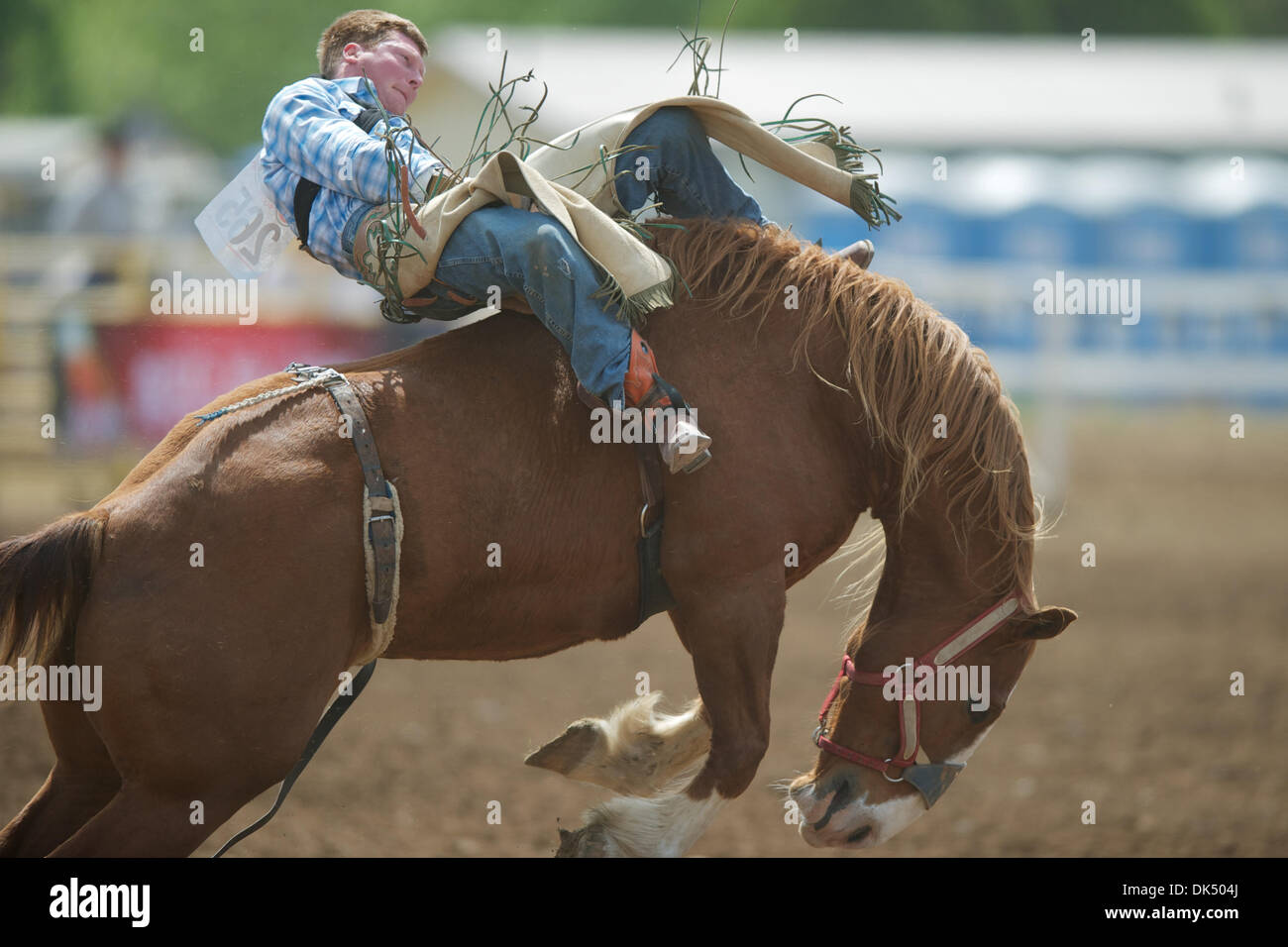 Apr. 16, 2011 Red Bluff, California, U.S Lee Lantz of Molalla, OR