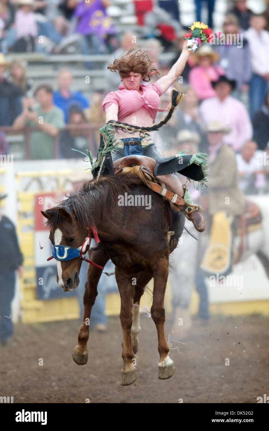 Apr. 17, 2011 - Red Bluff, California, U.S - Logan Knibbe of Rockdale, TX, dressed as Daisy Duke, competes in the Wild Ride at the 2011 Red Bluff Round-Up at the Tehama District Fairgrounds in Red Bluff, CA.  The Wild Ride is a long-time tradition at the 90-year-old rodeo.  Riders compete for a custom saddle and cash prizes. (Credit Image: © Matt Cohen/Southcreek Global/ZUMAPRESS.c Stock Photo