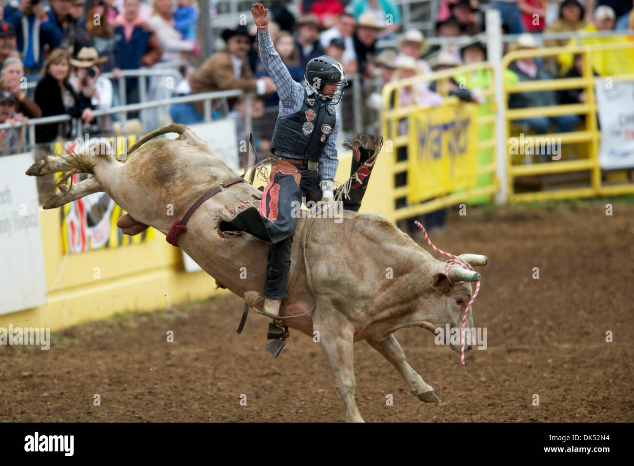 Apr. 17, 2011 Red Bluff, California, U.S Dustin Larsen of Manila