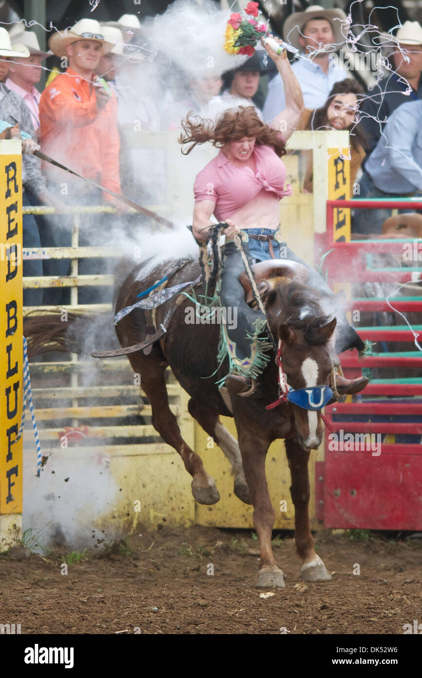 Apr. 17, 2011 - Red Bluff, California, U.S - Logan Knibbe of Rockdale, TX, dressed as Daisy Duke, competes in the Wild Ride at the 2011 Red Bluff Round-Up at the Tehama District Fairgrounds in Red Bluff, CA.  The Wild Ride is a long-time tradition at the 90-year-old rodeo.  Riders compete for a custom saddle and cash prizes. (Credit Image: © Matt Cohen/Southcreek Global/ZUMAPRESS.c Stock Photo