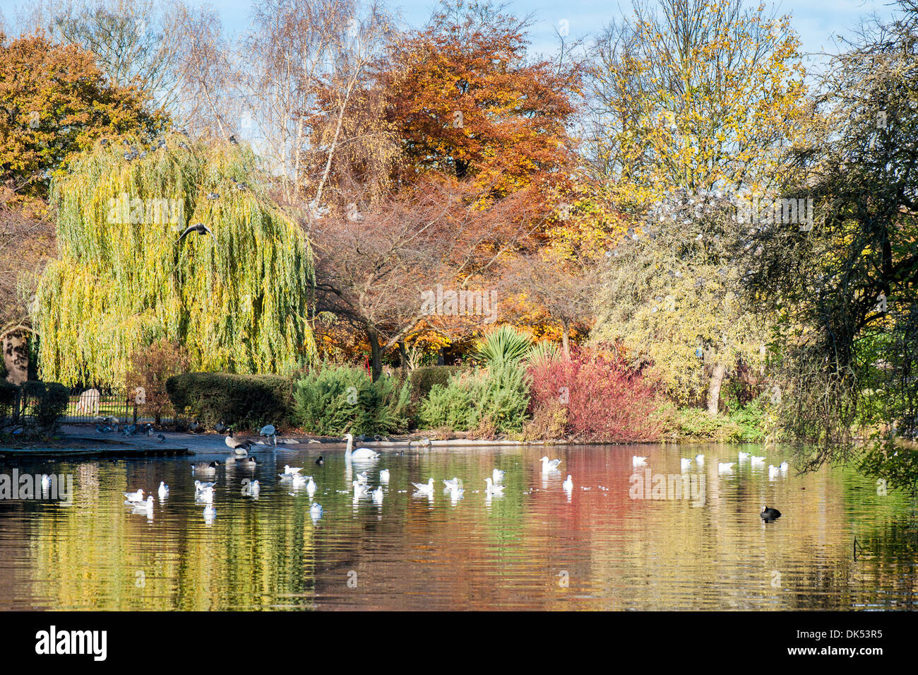Ravenscourt park hammersmith london united kingdom stock photo alamy