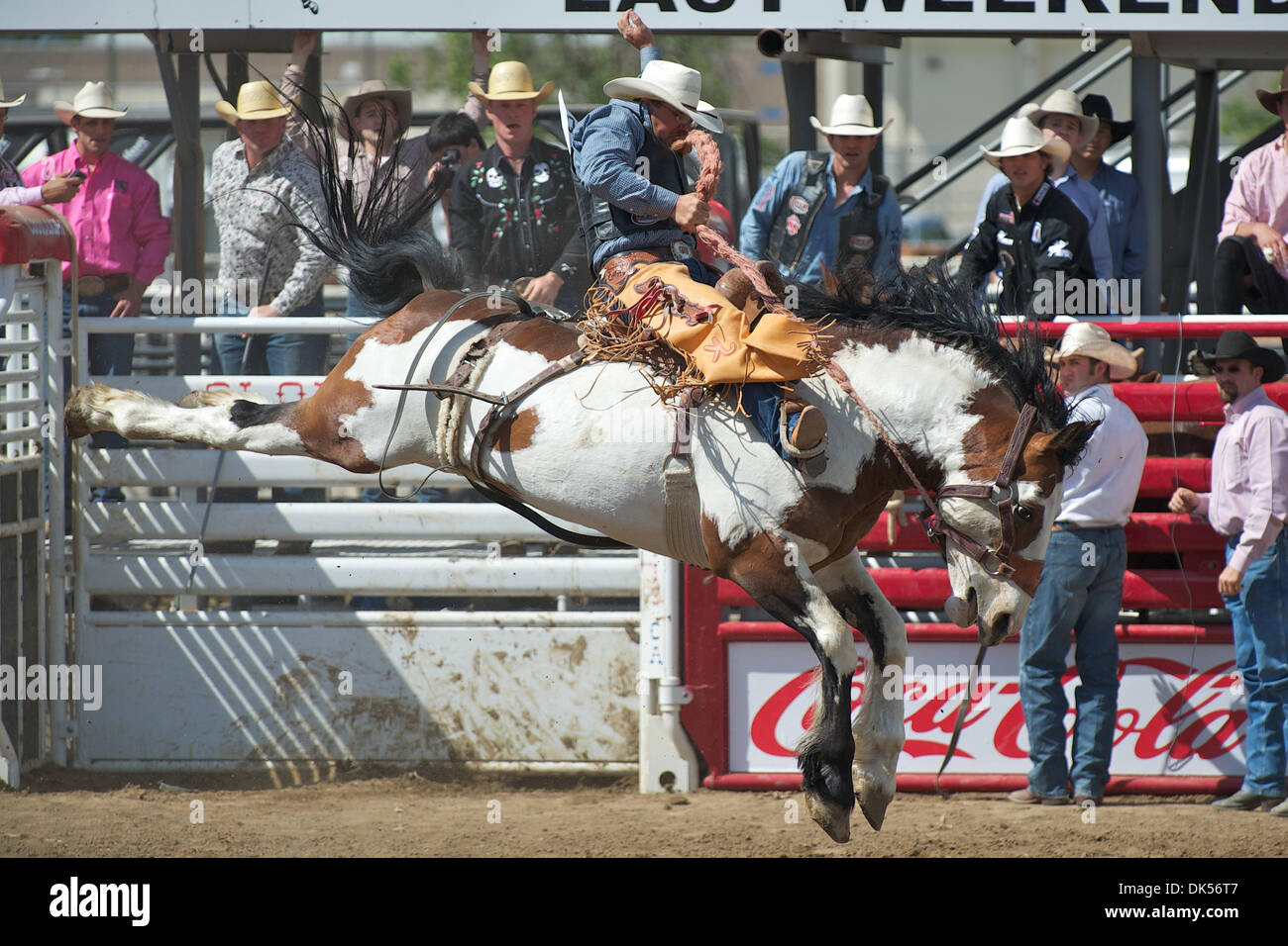 Matt kirby hires stock photography and images Alamy